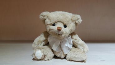 Bukowski: Teddy Alexander 15cm